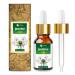 Jasmine (Jasminum Grandiflorum) Essential Oil Pure & Natural Undiluted Uncut Oil | Use for Aromatherapy Skin & Hair - Therapeutic Grade - (30ML with Dropper)