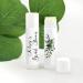 Best Day Ever Spot Personalized Lip Balm Favors Wedding & Bridal Shower Favor Green Leaf Design - Set of 24 - Buy Online on GoSupps.com