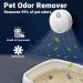 Cat Litter Deodorizer Pet Odour Remover 99% Deodorization Litter Box Odor Eliminator for Small Animals Toilet or Home Cat Urine Smell Remover Litter Trays Freshener Travel Air Purifiers A06 - Buy Online on GoSupps.com