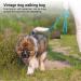 HOAAIGO Dog Treats & Training Bag - Free-handed Leash with Carabiners | Automatic Closure | Ideal for Dog Training | Green - Buy Online on GoSupps.com