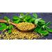 Desi Kitchen Fenugreek (Methi Seeds) 400gm (14oz) - Premium Quality Spice for Authentic Indian Cooking - Buy Online on GoSupps.com