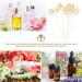 Ounona 5-Stick Aroma Sticks - Aromatherapy Accessories for Essential Oils & Diffusers | Dried Flower Refills - Buy Online on GoSupps.com
