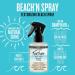 SexyHair Texture Beach'n Spray Texturizing Beach Spray 4.2 Oz | Maintains Natural Shine | Up to 24 Hour Humidity Resistance | All Hair Types - Buy Online on GoSupps.com