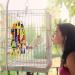 RANYPET Parrot Chewing Toys for Conures, Cockatiels, African Grey - Wooden Block Tearing Toys for Amazon Parrots - Buy Online on GoSupps.com