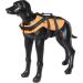 Rukka Pets Safety Life Vest for Dogs - Orange S | Premium Life Jacket for Safe Water Adventures - Buy Online on GoSupps.com