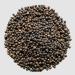 Roohts | 50g | Black Peppercorns | Kaali Mirch | Premium Quality | 100% Natural | Aromatic | Flavour | Spice | Whole Dried - Buy Online on GoSupps.com