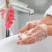 Savon Fraise en Forme de Fruit Savon Nettoyant Avec Corde claircissant Hydratant Esth tique pour le Bain Soin D coratif Corps - Buy Online on GoSupps.com