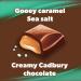Cadbury CARAMILK Salted Caramel Chocolate Candy Bar 50g Each (Pack of 24) - Buy Online on GoSupps.com