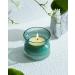 Scented Candles - Oz Natural Soy Wax with Essential Oils | 30 Hours Aromatherapy Candle in Curved Glass Jar | Perfect Christmas & Birthday Gifts for Women & Moms - Buy Online on GoSupps.com