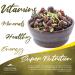 Oregon Farm Fresh Snacks Salad Toppers - All-Natural Seeds and Cranberries - Gluten-Free and Delicious - 22oz - Buy Online on GoSupps.com