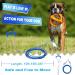 Super Floor Anchor Dog Leash - 10m Blue Earth Anchor & Skewers for Large Dogs | Best Dog Beach Accessories - Buy Online on GoSupps.com