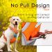 Thinkpet Anti-Pull Dog Harness with Handle - Adjustable Breathable Reflective for Medium Dogs - Orange (1 Pack) - Buy Online on GoSupps.com