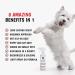 Warren London Wet Kiss Dog Cologne - Long Lasting Deodorant Spray for Stinky Dogs - Tuscan Citrus 16oz - Buy Online on GoSupps.com