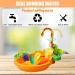 Automatic Bird Bathtub with Faucet - Ideal for Parakeets, Cockatiels, Conures, and Small Birds | SGQCAR New Orange - Buy Online on GoSupps.com