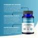 MYOXCIENCE Berberine Fasting Accelerator - Berberine HCL with ALA and Biotin - Buy Online on GoSupps.com