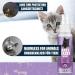 Adema Natural Anti Kratz Spray for Cats & Kittens | Safe Alternative to Cat Deterrent Devices - International Shipping Available - Buy Online on GoSupps.com