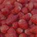 Aquolina Body Milk Wild Strawberries - 250 ml | Delicate Moisturizer for Velvety Skin | International Shipping Available - Buy Online on GoSupps.com