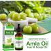 Indian Amla Oil - 100% Natural Hair & Skincare Solution for Beautiful Long Soft & Strong Hair - Nourishing Indian Hair Oil for Skin & Face - Buy Online on GoSupps.com