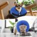 Inflatable Recovery Collar for Dogs & Cats | Adjustable Protective Dog Cone - Soft & Comfortable | Ideal for Post-Op & Wound Care (L) - Buy Online on GoSupps.com