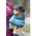 Rukka Pets Hayton Warm Raincoat for Dogs - Aqua 55 | Premium Waterproof Dog Raincoat | International Shipping - Buy Online on GoSupps.com