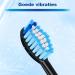 REDTRON replacement brush heads for Philips Pro Results 8 pieces replacement brush heads for FlexCare ProtectiveClean HealthyWhite EasyClean and PowerUp black 8 Black and blue - Buy Online on GoSupps.com