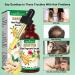Ginger Oil 5-Pack for Hair Growth - Biotin Serum for Men & Women - Promotes Thicker & Healthier Hair - Hair Loss Treatment Included - Buy Online on GoSupps.com