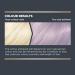 Bblonde Lilac Grey Post Blonding Toner - Semi-Permanent Hair Dye Kit | Vegan Formula with Brazil Nut Oil | Ammonia-Free - Buy Online on GoSupps.com