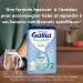 Laboratoire Gallia Galliagest Premium 2 me ge 820g X3 6-12 mois - Buy Online on GoSupps.com