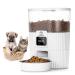 PAPIFEED Automatic Cat Feeder Cactus