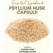 Psyllium Husk Capsules 250 Count - All-Natural Fiber Supplement for Gut Health - Buy Online on GoSupps.com
