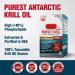 LABO Nutrition Perfect Krill 1000 mg Antarctic Krill Oil Omega 3 EPA DHA w/Phospholipids ( 40%), Choline, Astaxanthin | Supports Brain Eye Heart & Joint Health, 60 softgels - Buy Online on GoSupps.com