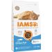 IAMS Senior Dry Cat Food with Fish - 3 kg Healthy Nutrition for Cats 7+ Years Premium Dry Food - Buy Online on GoSupps.com
