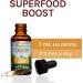 Host Defense Cordyceps Extract 1 fl oz - Energy & Stamina Support Mushroom Supplement - Buy Online on GoSupps.com