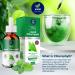 High Strength Chlorophyll Liquid Drops for Water - 60ml | 2 Month Supply, 100mg/Serving - Buy Online on GoSupps.com