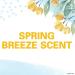 Shop Secret Solid Invisible Spring Breeze 2.6oz - Best Deodorant for All-Day Freshness | International Shipping Available - Buy Online on GoSupps.com