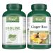 VORST Choline Bitartrate 180 Vegan Capsules & Ginger Root 180 Vegan Capsules (Combo Bundles 2 Bottles)