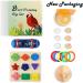 5pcs Parakeet Bird Toys Set for Training - Bird Basketball, Skateboard, Stacking Toy, Wooden Block Puzzles & Sepak Takraw - Buy Online on GoSupps.com