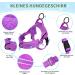 Eyein No-Pull Dog Harness & Leash Set - Soft Padded Reflective Adjustable for Puppies & Small Dogs (Purple Size S) - International Shipping Available - Buy Online on GoSupps.com