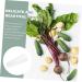 GANAZONO 4 Pcs Fruit and Vegetable Shaping Mold Fruit Stereotypes Cucumber Tool Heart-Shaped - Buy Online on GoSupps.com
