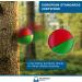 Heldengut Juggling Balls 5x - Perfectly Balanced for Kids & Adults | Ideal for All Skill Levels | Includes Juggling Book - Buy Online on GoSupps.com