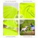 Kickred 2 Pack Dog Cooling Shirts - Ice Pet Vest for Medium Dogs | Ultra-Light Breathable T-Shirts (XL Violet + Green) - Buy Online on GoSupps.com