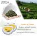 Yan Hou Tang Organic Green Oolong Tea Loose Leaf - 150g | Full Four Seasons Spring | High Mountain Raw Low Fermented | Fragrant Taste | Formosa Taiwan - Buy Online on GoSupps.com