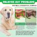 Probiotics for Dogs 120pcs Dog Probiotics for Gut Health Pre & Probiotic Digestive Treats for Dog Seasonal Allergies Itchy Skin Dog Supplement Soft Chews for Pet Immune or All Dogs Duck falvor - Buy Online on GoSupps.com