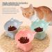 3 PCS Raised Cat Bowl Elevated Cat Feeding Bowls with Stand Tilted Pet Dog Cat Bowl Anti-Tipping Anti Vomit Cat Food Bowl Feeding Water Bowl Cat Dishes 15 Tilted Raised Cat Feeder - Buy Online on GoSupps.com