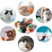 PietyPet 60 Pack Cat Toy Set: Spiral Springs, Sparkle Balls, Crinkle Balls, Mouse Toy, Springs, Pom Pom Balls - Buy Online on GoSupps.com