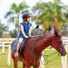 Keedolla 18 English Riding Crop with Wrist Strap - Horse Whip for Training & Shows - Buy Online on GoSupps.com