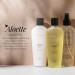 Aloette Hand & Body Silk Lotion - Lightweight Moisturizer for Men & Women | Floral Scent Hydrating Aloe Vera Lotion (8 Fl Oz - Buy Online on GoSupps.com
