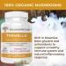 Real Mushrooms Tremella Mushroom Extract (120 ct) - Immune Support Blend for Brain, Skin - Vegan, Non-GMO, Organic Supplements - 120 Count - Buy Online on GoSupps.com