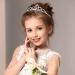 Silver Rhinestone Crystal Princess Tiara Crown - 16 Pieces for Girls Birthday, Prom, Wedding | Kids Headband for Party Pageant - Buy Online on GoSupps.com