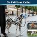 Dog Handlebar Harness - No Pull Soft Halter with Safety Clip for Heavy Pulling - Durable Training Gear for Medium & Large Dogs (Snout: 7-12.5) - Buy Online on GoSupps.com